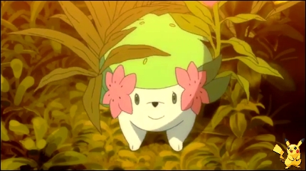 sm108_13.jpg
