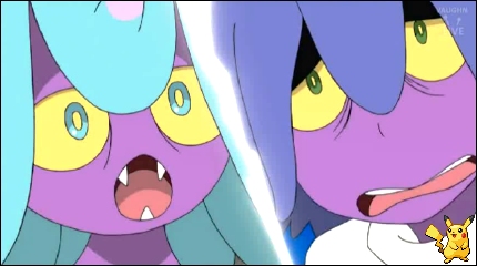 sm12_11.jpg