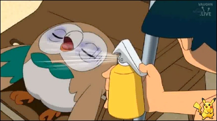 sm12_16.jpg