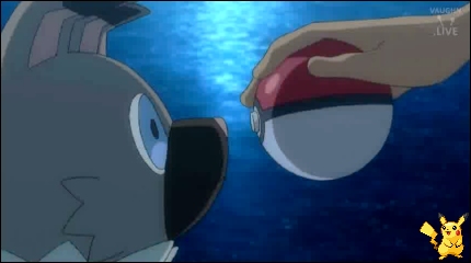 sm15_15.jpg