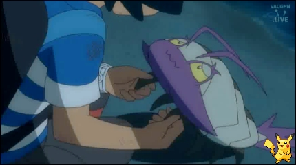 sm20_13.jpg