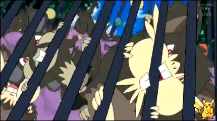 sm25_13.jpg