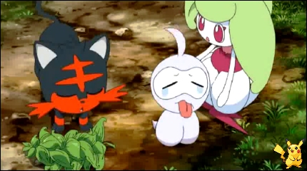 sm35_16.jpg