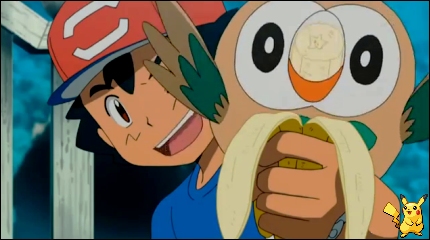 sm4_14.jpg