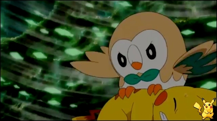 sm4_20.jpg