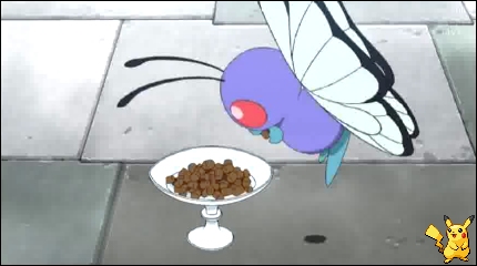 sm8_10.jpg